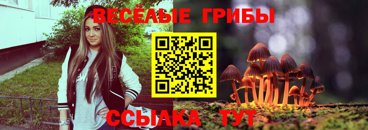 Комсомольск-на-Амуре  Псилоцибиновые грибы Cubensis  даркнет сайт  Вход с VPN  Галлюциногенные грибы GOLDEN TEACHER 